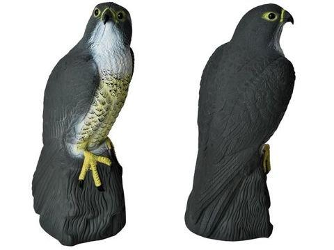 Scarecrow Eagle - Scares away Birds V1237-ZY-203-4180