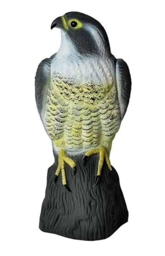 Scarecrow Eagle - Scares away Birds V1237-ZY-203-4180