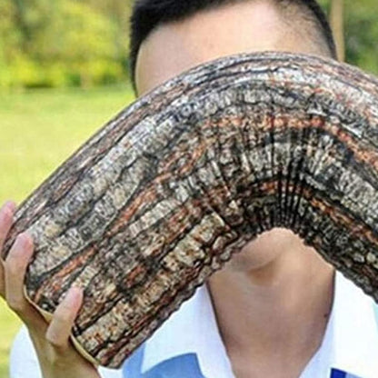 Creative natural wood design log soft chair cushions pillows round wood grain stump shaped decorative pillows V1237-ZY-203-4543