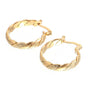 14k Gold Hoops Earrings for Christmas Parties V1237-ZY-203-4953