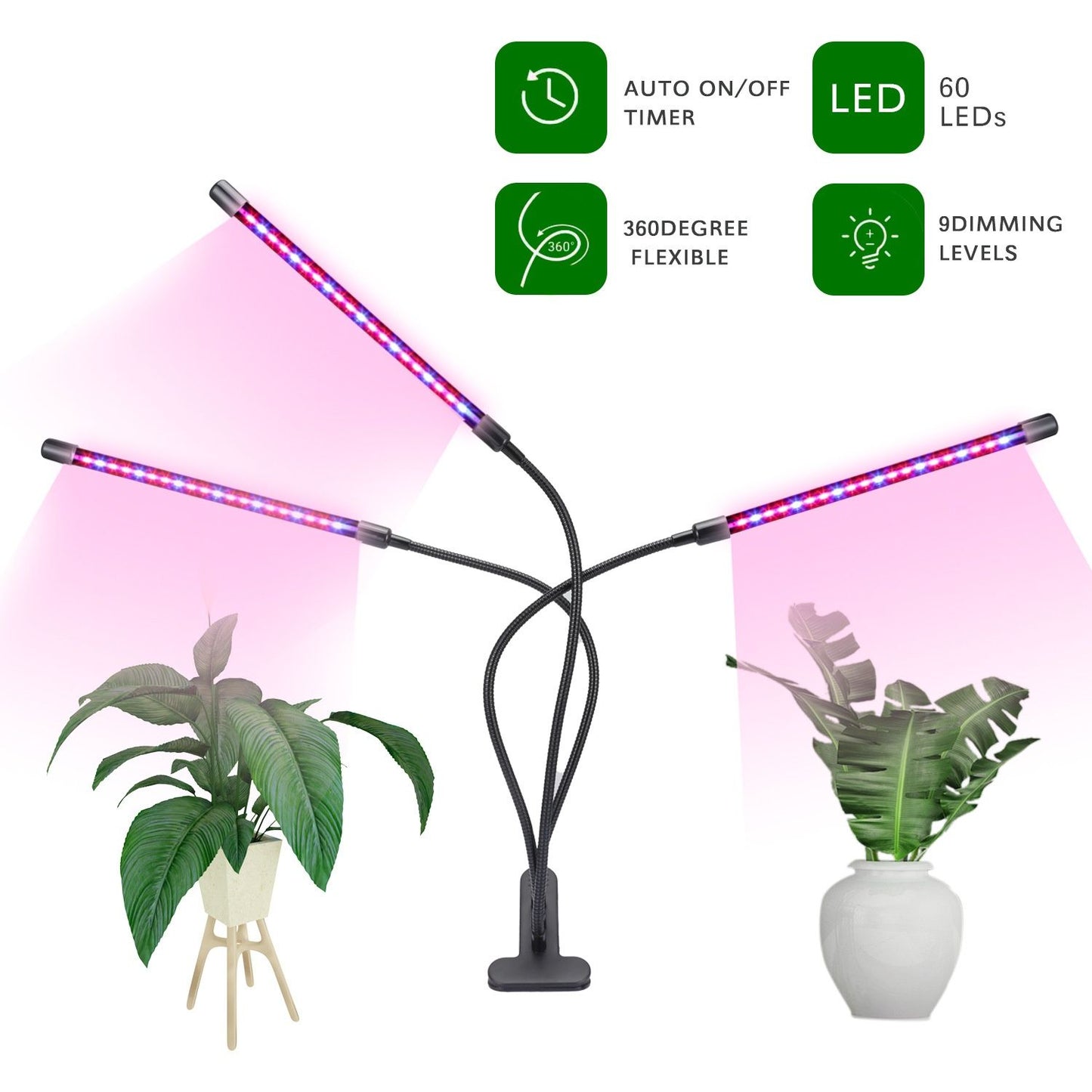 60 LED Full Spectrum Grow Light with 3 Timers, MultiColor V1237-ZY-506-0059