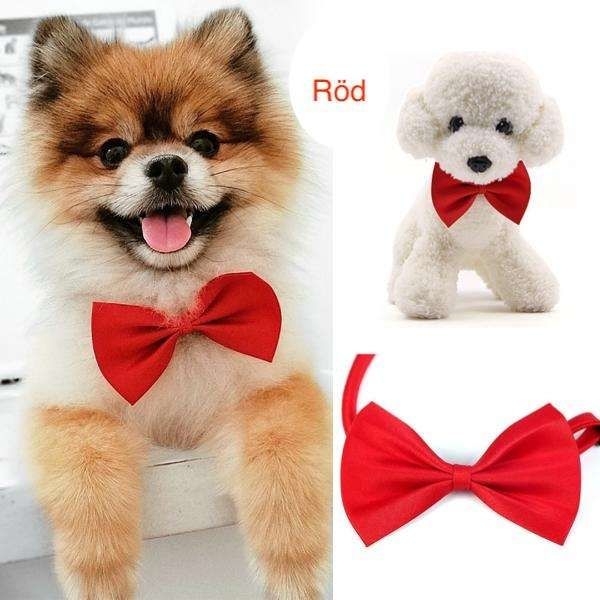 Christmas Dog Cat Bow Tie Collar, Red V1237-ZY-506-0160