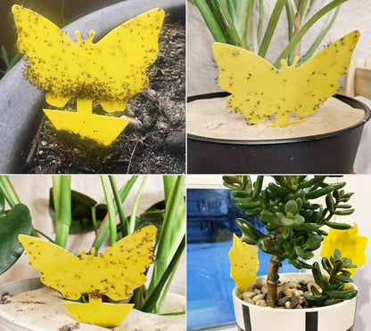 20-pack Fly Trap Flycatchers, Effective Butterfly Control V1237-ZY-506-0248