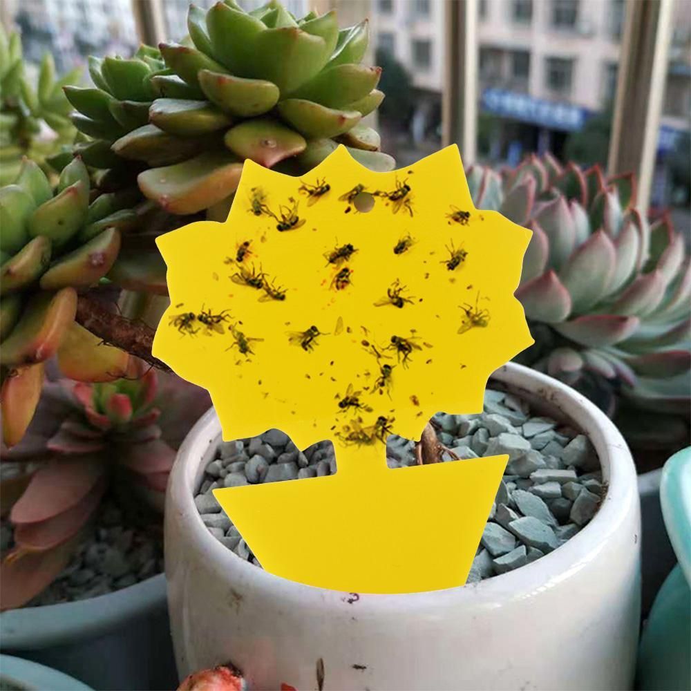 20-pack Fly Trap Flycatchers, Effective Butterfly Control V1237-ZY-506-0248