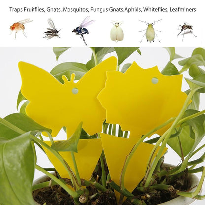 20 Pack Flycatchers, Fly Trap, Cute and Effective Die V1237-ZY-506-0250