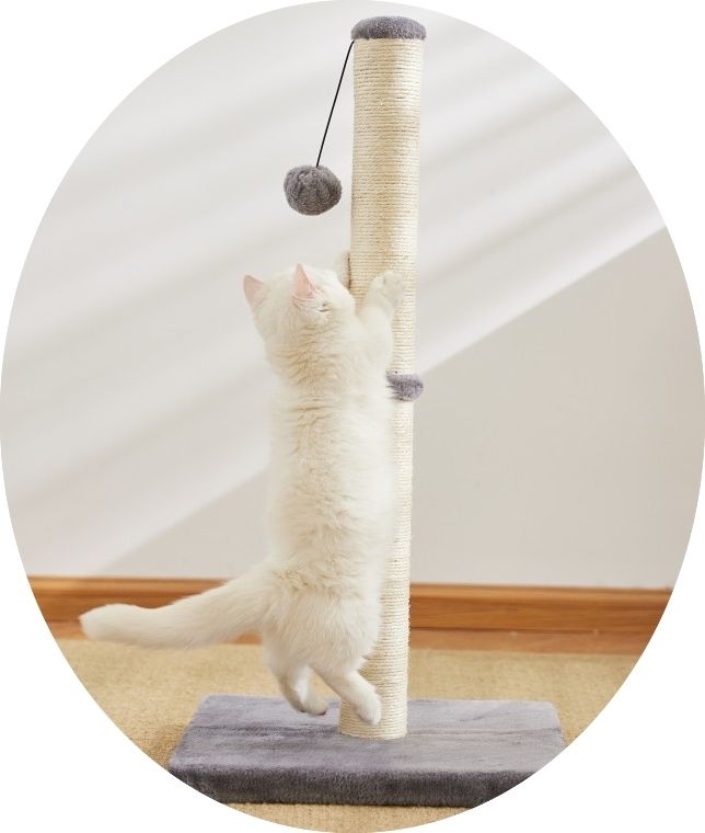 Cat Scratching Post Tree, MultiColor V1237-ZY-506-0279