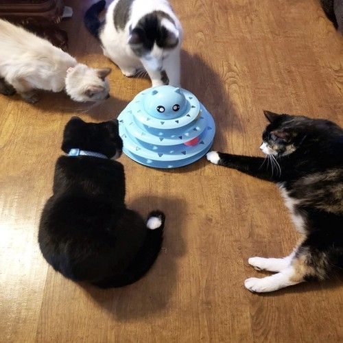 Cat Toy Activation Ball Tower for Cats, Blue V1237-ZY-506-0286