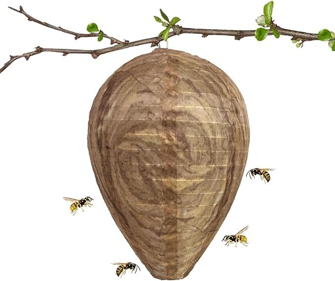 2pcs Non-Toxic Paper Wasp Traps & Bee Deterrent, for Wasp Nest Removal V1237-ZY-506-0303