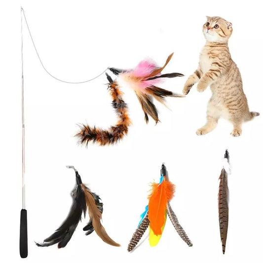 5pcs MultiColor Cat Toys with Springs, Telescopic V1237-ZY-506-0571
