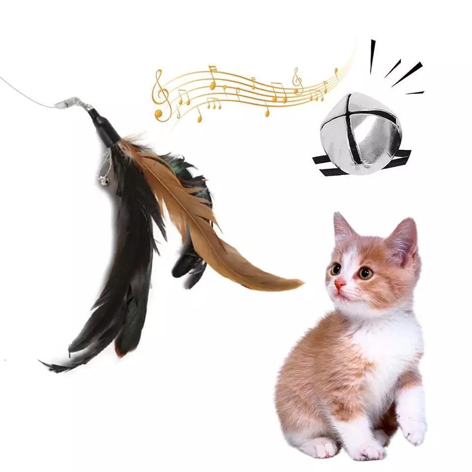 5pcs MultiColor Cat Toys with Springs, Telescopic V1237-ZY-506-0571
