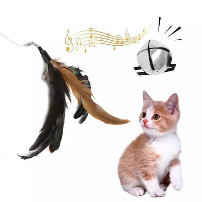 5pcs MultiColor Cat Toys with Springs, Telescopic V1237-ZY-506-0571