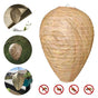 6pcs Non-Toxic Paper Wasp Traps, Wasp Nest Deterrent for Bees V1237-ZY-506-0618