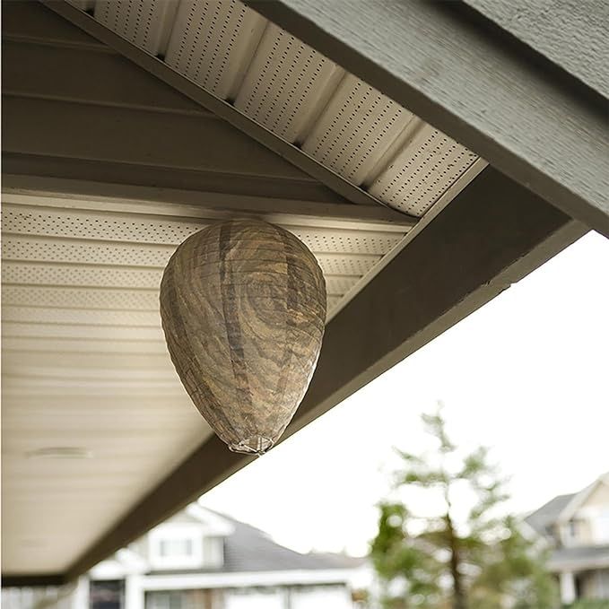6pcs Non-Toxic Paper Wasp Traps, Wasp Nest Deterrent for Bees V1237-ZY-506-0618