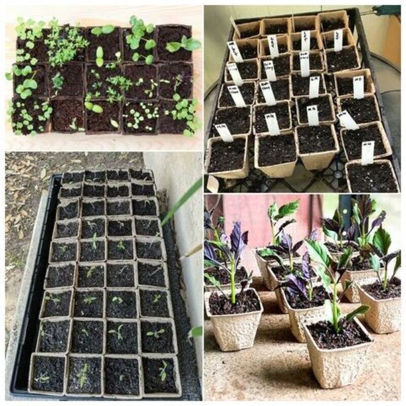 120 Pieces Biodegradable Seedling Pots, Biodegradable Pots, Biodegradable Seedling Pots for Seedlings, for V1237-ZY-528-182
