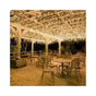 600 LED String Lights Carnival Wedding Outdoor Indoor Garden Lighting warm White, 100M V1237-ZY-528-265