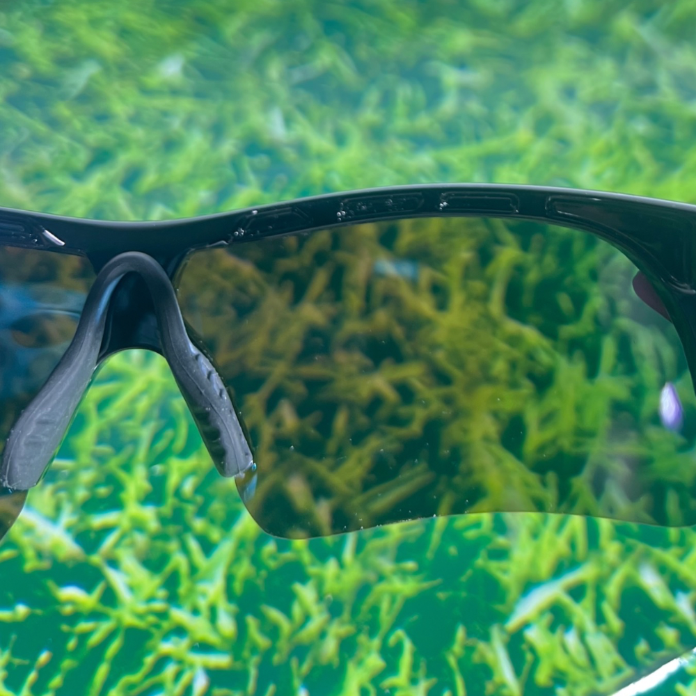 Sportiq OptiView - Sky Blue V1238-OBPS01