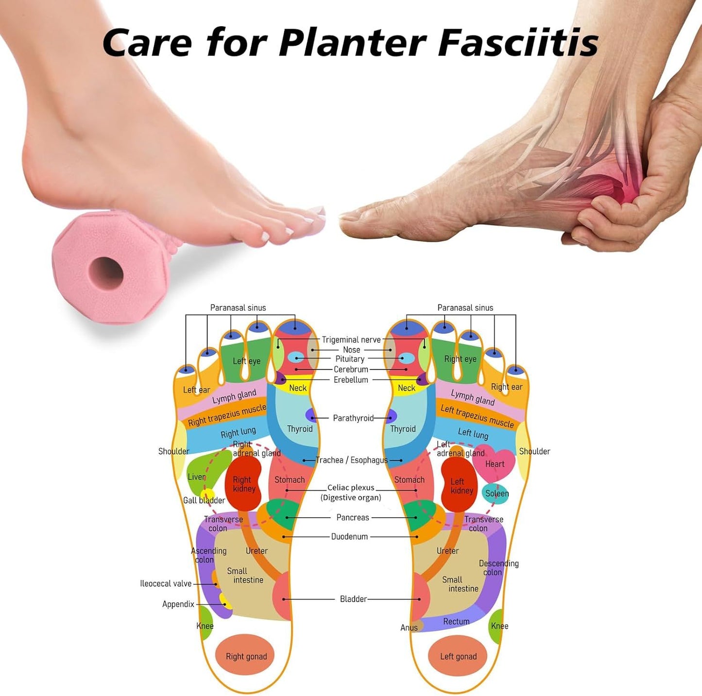 Plantar Fasciitis Relief,Foot Roller,Foot Massager Roller for Deep Tissue Muscle Massage,Portable Reflexology V1250-QLSC013-PINK