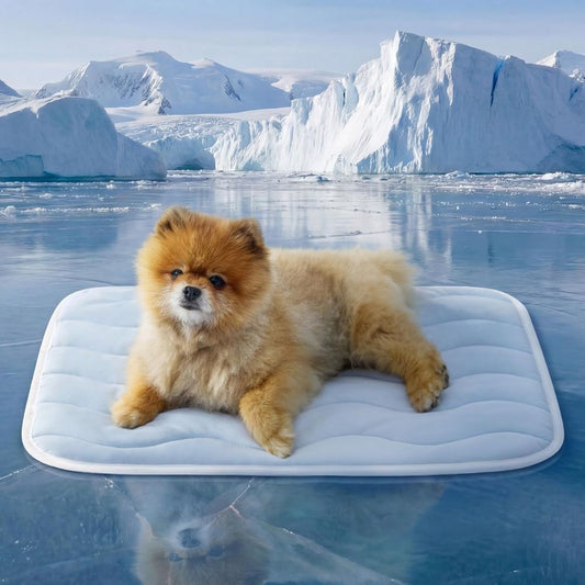 Cooling Mat for Small Dogs - Q-Max>0.4 Thin Breathable Crate Pad Indoor for Puppy and Cat with Chill Cool V1250-QLSC023