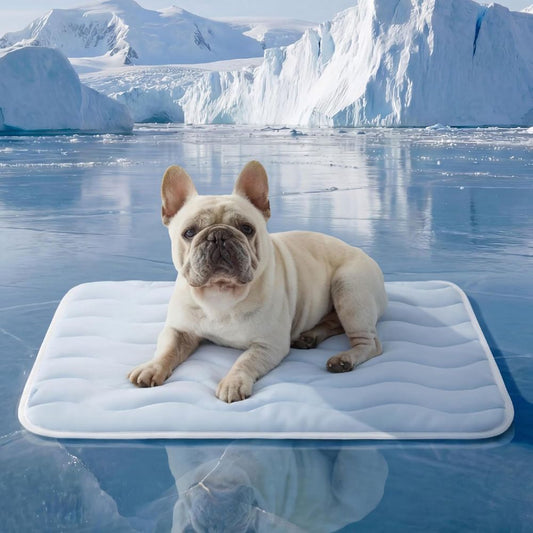 Cooling Mat Medium Size Dog - Q-Max>0.4 Thin Breathable Cooling Crate Pad Indoor for Pet with Chill Cool V1250-QLSC023-M