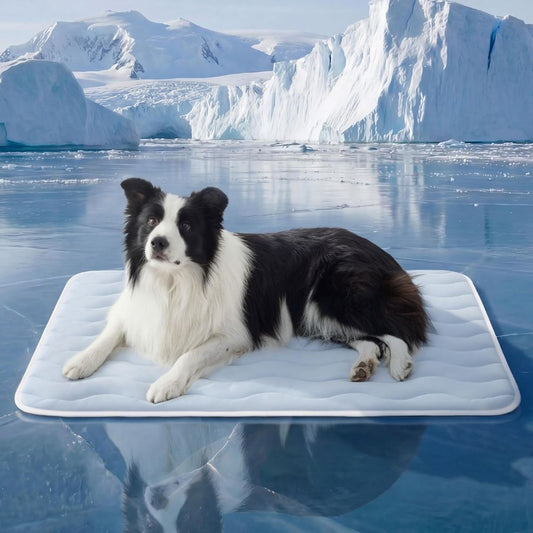 Cooling Dog Mat Extra Large - Q-Max>0.4 XL Thin Breathable Cold Crate Pad Indoor for Pets with Chill Cool V1250-QLSC023-XL