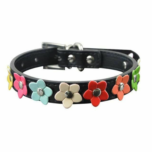 House Of Dasein Rainbow Flower Collars Pet Play Puppy Kitten Bondage Kink Fetish Restraints - Black - S V1257-15316748107842