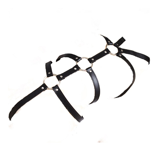House Of Dasein Full Body Black Leather Harness Arm Bondage Kink Bdsm Fetish Restraints - Black V1257-15368980496450