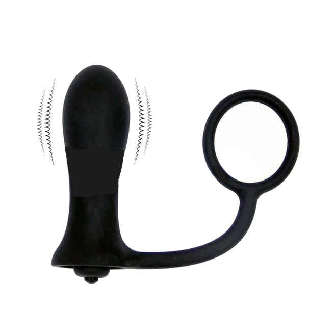 House Of Dasein Anal Vibrator Cock Ring Testicle Male Prostate Massager - Black - Model E V1257-16063316459586