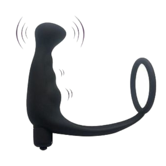 House Of Dasein Anal Vibrator Cock Ring Testicle Male Prostate Massager - Black - Model F V1257-16063316492354