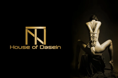 House Of Dasein Digital Display Electric Penis Enlarger Vacuum Pump Erection Assisting Device Men V1257-16143103164482