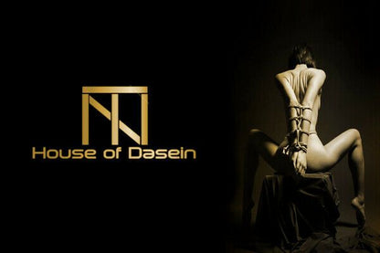 House Of Dasein Wireless Jump Egg Vibrating Remote Mini Vibrator Bondage Kink Bdsm V1257-16185580290114