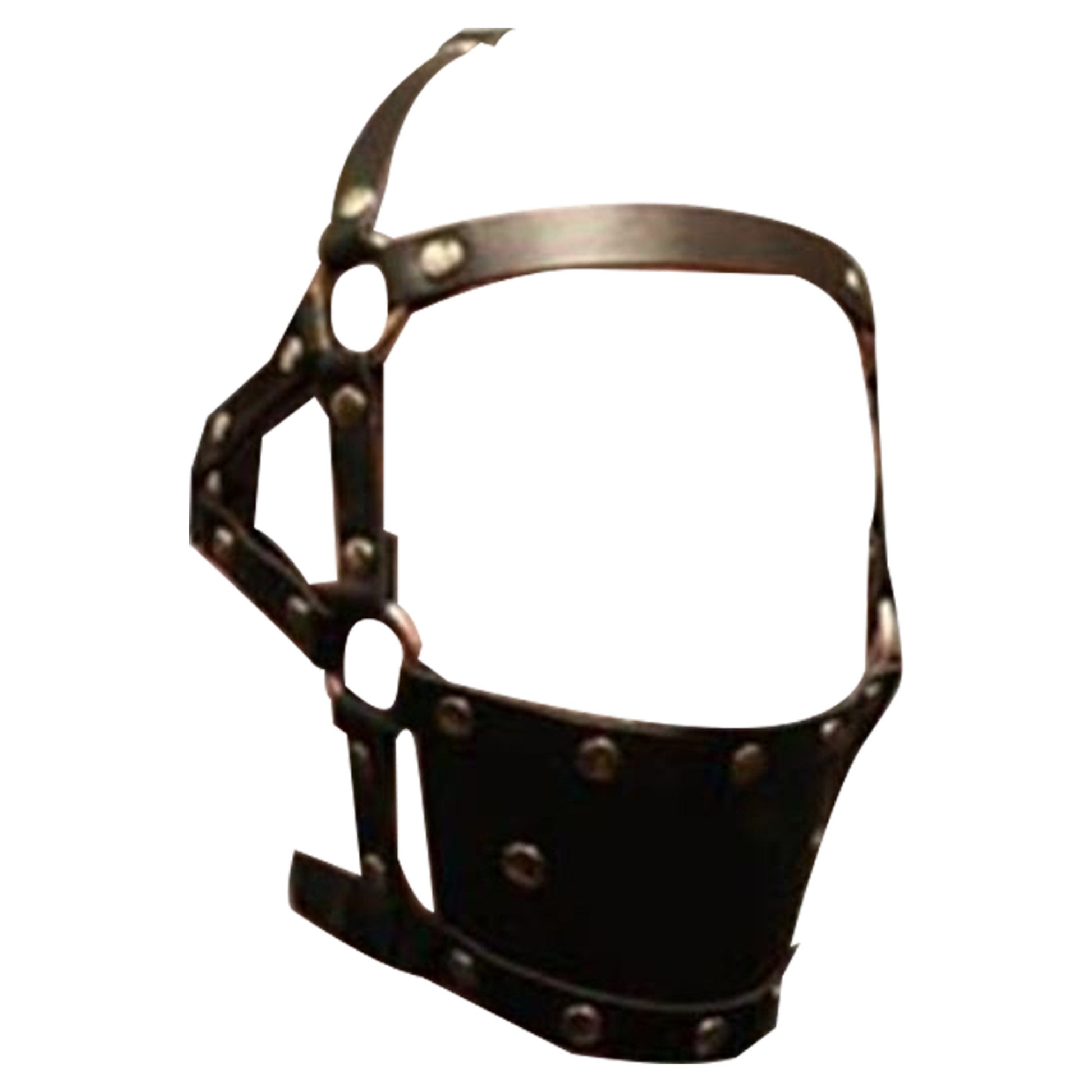 House Of Dasein Ball Gag Head Harness Mask Muzzle Blindfold Bondage Kink Bdsm Fetish Restraints - Style I V1257-16225651097666