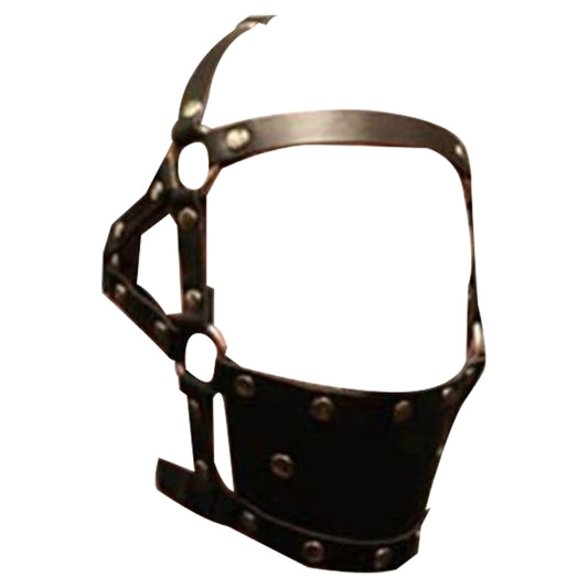 House Of Dasein Ball Gag Head Harness Mask Muzzle Blindfold Bondage Kink Bdsm Fetish Restraints - Style I V1257-16225651097666