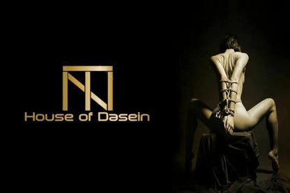 House Of Dasein Devil Split Black Spanking Paddle Bdsm Impact Play Toys Fetish - Black V1257-31020161171594