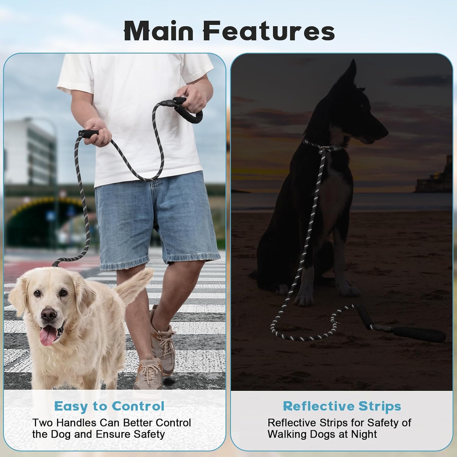 Dog Leash 6 FT with Comfortable Padded Handle, Training Loop Leash with Highly Reflective Threading for V1258-DP02-A-10