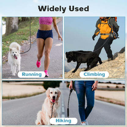Dog Leash 6 FT with Comfortable Padded Handle, Training Loop Leash with Highly Reflective Threading for V1258-DP02-A-10