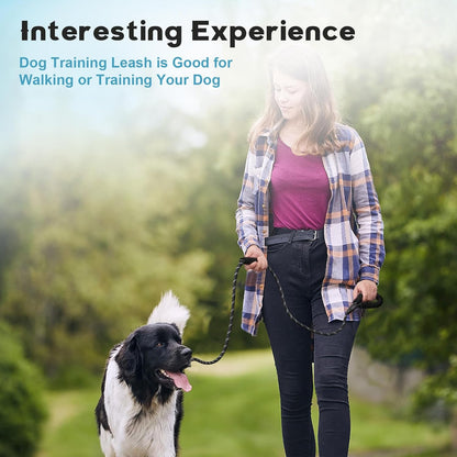 Dog Leash 6 FT with Comfortable Padded Handle, Training Loop Leash with Highly Reflective Threading for V1258-DP02-A-10