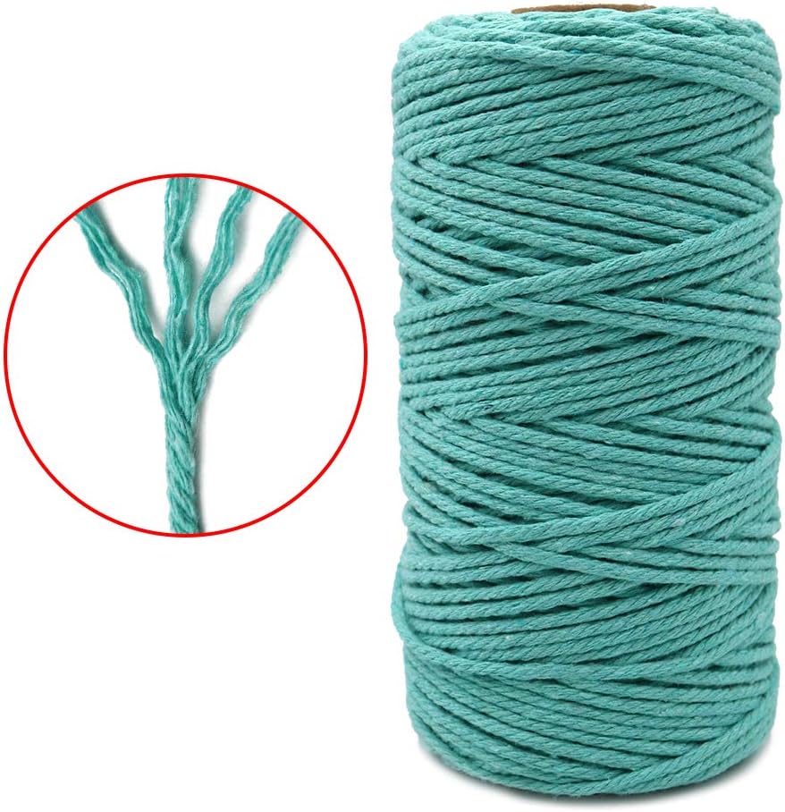 Macrame Cord - 3MM Cotton Twine, 328Ft Lake Blue Cotton String, Bakers String for DIY Crafts, Knitting, Plant V1258-DP02-A-2170
