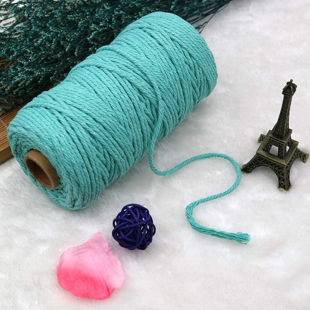 Macrame Cord - 3MM Cotton Twine, 328Ft Lake Blue Cotton String, Bakers String for DIY Crafts, Knitting, Plant V1258-DP02-A-2170