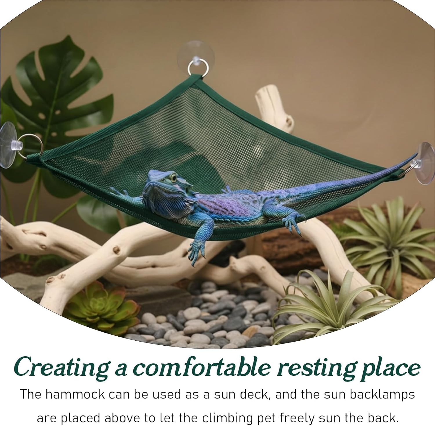 2Pcs Reptile Hammock - Breathable Mesh Bearded Dragon Hammock Lizard Tank Accessories Triangle Geckos V1258-DP02-A-485