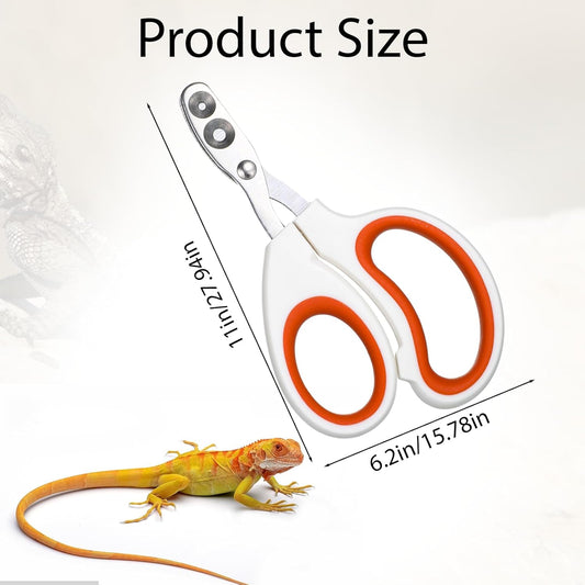 Vin Beauty Bearded Dragon Nail Clippers, Stainless Steel Lizard Nail Clippers, Bearded Dragon Supplies, V1258-DP02-A-584