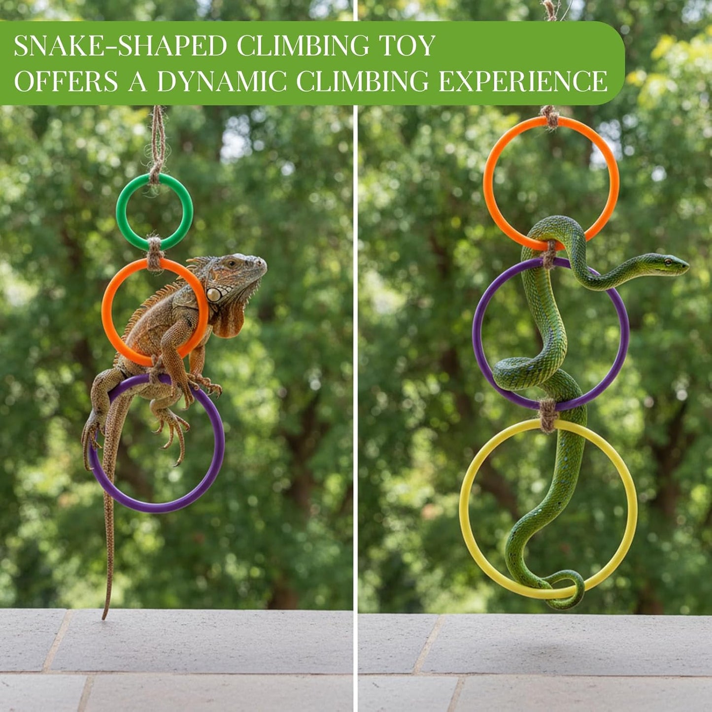 2 Pcs Snake Climbing Rings Snake Enrichment Toys for Ball Python Ball Python Tank Accessories, Reptile V1258-DP02-A-604