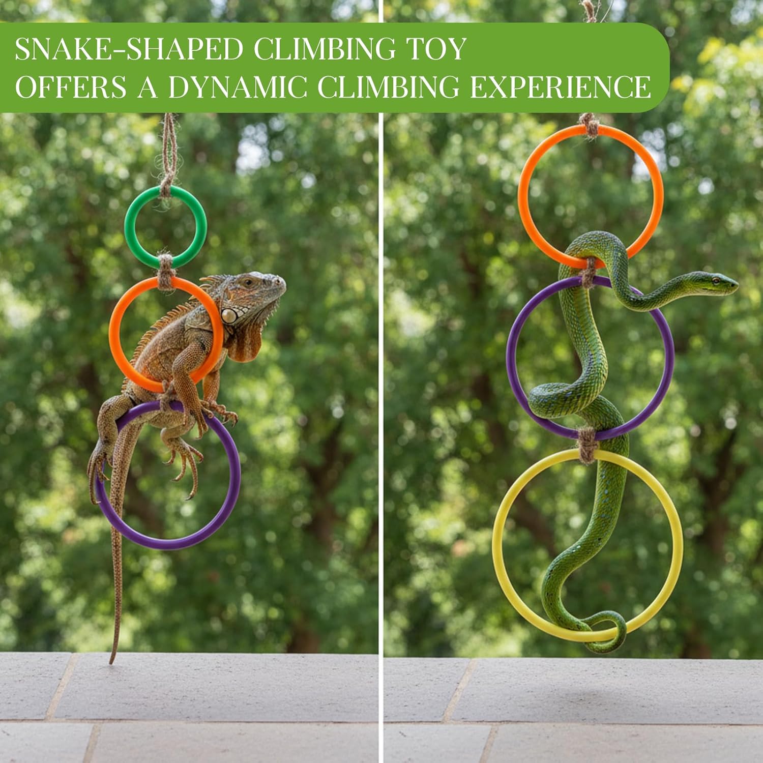 2 Pcs Snake Climbing Rings Snake Enrichment Toys for Ball Python Ball Python Tank Accessories, Reptile V1258-DP02-A-604