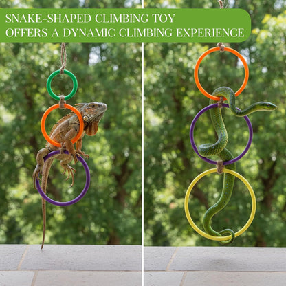 2 Pcs Snake Climbing Rings Snake Enrichment Toys for Ball Python Ball Python Tank Accessories, Reptile V1258-DP02-A-604