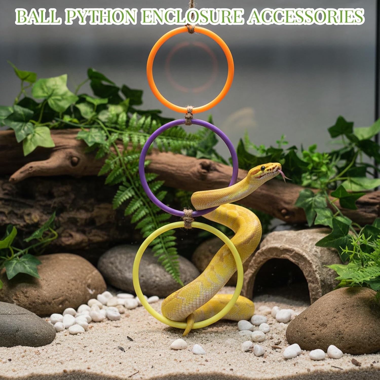 2 Pcs Snake Climbing Rings Snake Enrichment Toys for Ball Python Ball Python Tank Accessories, Reptile V1258-DP02-A-604