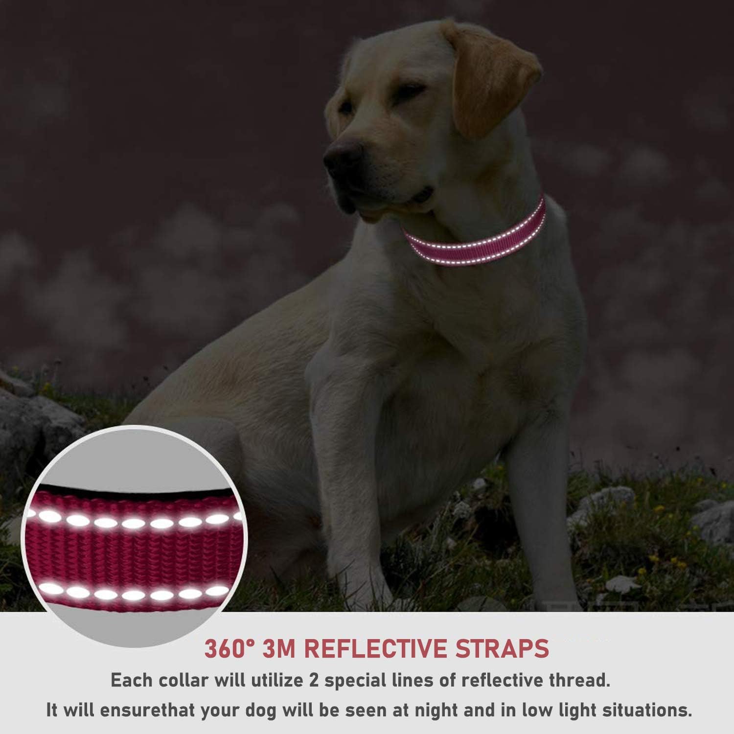 Reflective Dog Collar with Buckle Adjustable Safety Nyl Collars for Small Medium Large Dogs, Pink S V1258-DP02-A-738