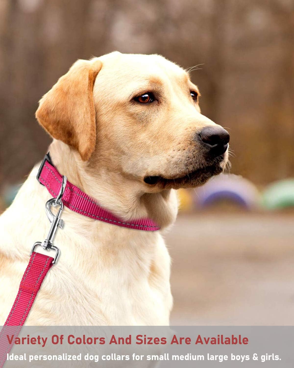 Reflective Dog Collar with Buckle Adjustable Safety Nyl Collars for Small Medium Large Dogs, Pink S V1258-DP02-A-738