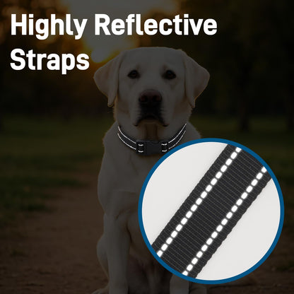 Dog Collar for Small Medium Dogs with Buckle, Breathable Adjustable Nyl Reflective Dog Collars, Black/Small V1258-DP02-A-942