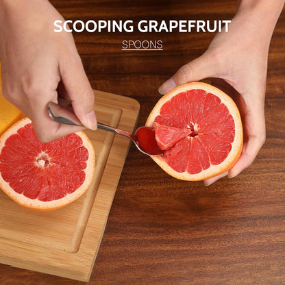 4-piece Grapefruit Spoons and Grapefruit Knife, 18/8 Stainless Steel V1258-DP02-B-101