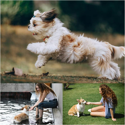6 Pack Dog Flying Discs - Interactive, Soft Floating Saucer for Small, Medium Dogs - Safe on Teeth V1258-DP02-B-1292