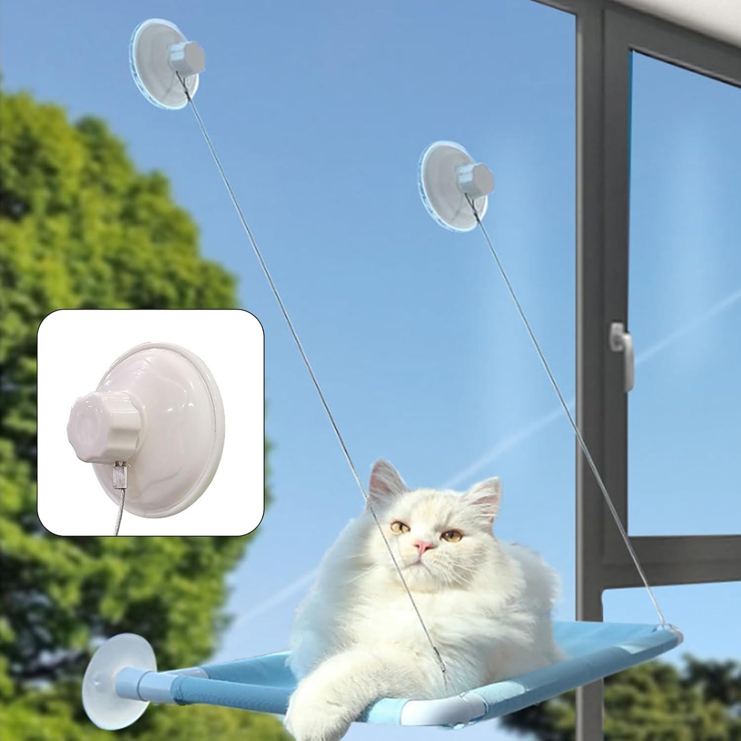 Thick Suction Cup Cat Perches 4Pcs Cat Hammock Replacement Screw Suction Cups for Window Seat V1258-DP02-B-1328